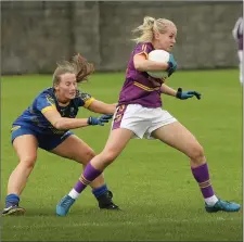 ??  ?? Wicklow’s Sarah Hogan battles with Wexford’s Siobhan Cloake.