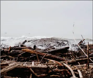  ?? ?? Debris is piled on the beach Jan. 11 after a storm in Carpinteri­a, Calif.