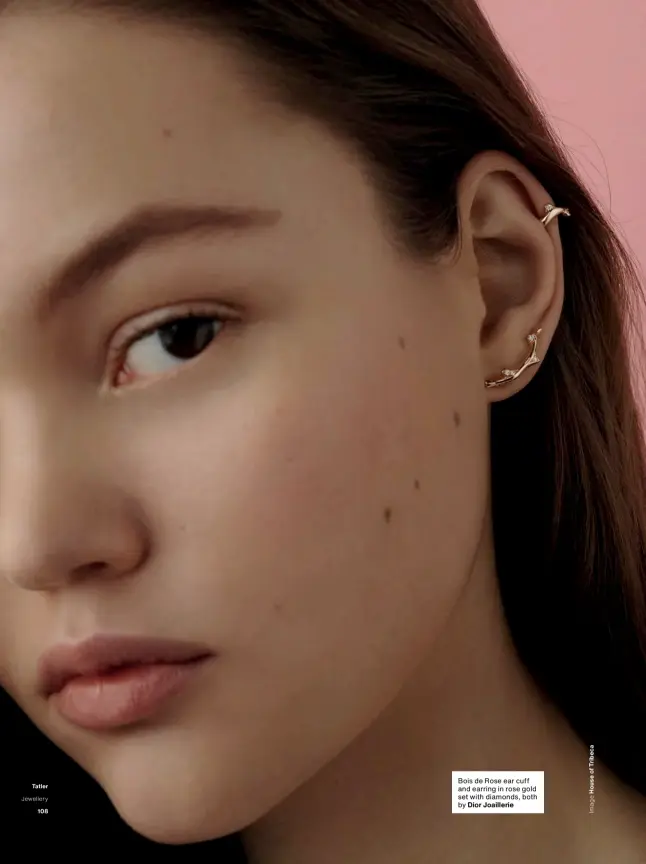  ??  ?? Bois de Rose ear cuff and earring in rose gold set with diamonds, both by Dior Joaillerie