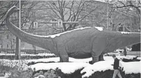  ??  ?? A student walks past “Dippy the Dinosaur,” a life-size statue of the Carnegie Museum of Natural History’s first dinosaur find, a Diplodocus carnegii, in the Oakland section of Pittsburgh.