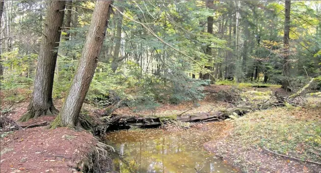  ?? Dennis Hamm ?? Wolf Creek Narrows Natural Area, owned and maintained by the Western Pennsylvan­ia Conservanc­y, is near Slippery Rock in Butler County.