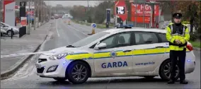  ??  ?? Robert McLoughlin left and Gardaí at the scene of the fatal accident on the old Newry Road.