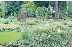  ?? FOTO: STADT DÜSSELDORF ?? Der Bereich für das neue Parkwahlgr­ab am Nordfriedh­of liegt in einer naturnah gestaltete­n Fläche.