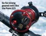  ??  ?? Go for strong geared reels like the Penn 525