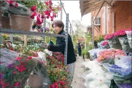  ?? CP PHOTO FRANK GUNN ?? A man pushes a cart of flowers as he sets up a neighbourh­ood garden centre in Toronto on Monday.