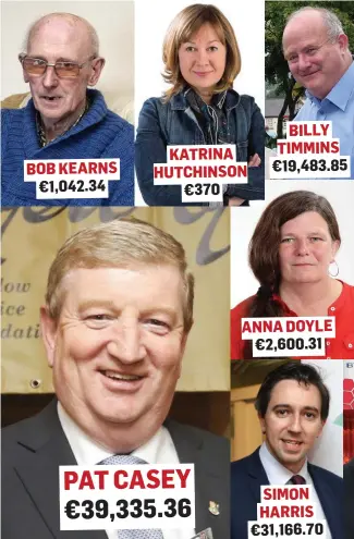  ??  ?? BILLY TIMMINS KATRINA HUTCHINSON €19,483.85 BOB KEARNS €1,042.34 €370 ANNADOYLE €2,600.31 PAT CASEY SIMON HARRIS €39,335.36 €31,166.70