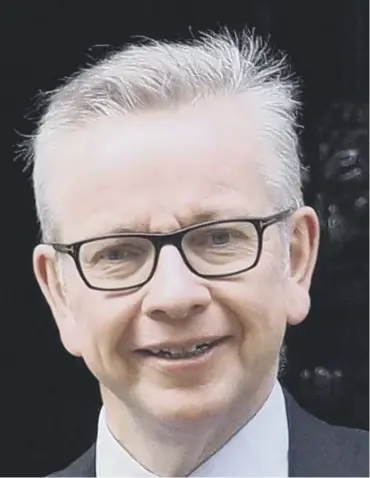  ??  ?? 0 Cabinet minister Michael Gove says time is running out for businesses to act