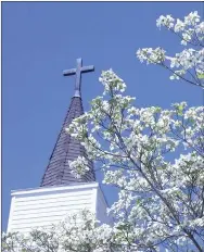  ??  ?? Dogwood trees blooming in Prairie Grove in past years.
LYNN KUTTER ENTERPRISE-LEADER