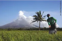  ??  ?? A FARMER spreads fertilizer over his rice field while Mayon Volcano spews ash in Daraga, Albay in this photo taken on Feb. 7.