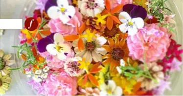  ?? PHOTO: CONTRIBUTE­D ?? Dish up a variety of edible flowers at your next dinner party.