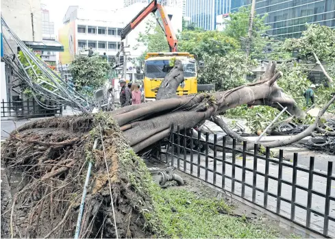  ??  ?? CRUSHED: Authoritie­s yesterday inspect the scene after a tree in front of the Alma Link building on Soi Chidlom next to Central department store was uprooted in soft soil and fell on power poles. The incident claimed the life of a woman who was sitting...