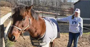  ?? BRIAN KRISTA/BALTIMORE SUN/TNS ?? Tina Snyder, founder of Safe Haven Equine Warriors, pets Pickpocket at the Sykesville, Md., farm. Snyder is in the process of looking for a larger property and recently launched a capital campaign to assist with the expansion. Her current farm can only rehab about five horses at a time.