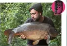  ??  ?? A SIX-fish catch was topped by this 33lb 8oz mirror for Gav Campbell at Kingsmead Island Lake, in Berkshire. All his fish fell to Sticky Krill dumbbell wafters.