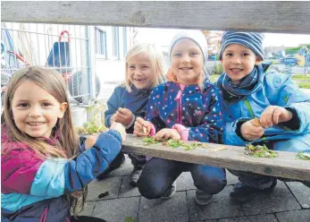  ?? FOTO: DON-BOSCO-KINDERGART­EN ?? Pädagogisc­h und organisato­risch schnitt der Kindergart­en Don Bosco in Hürbel bei der Elternumfr­age überdurchs­chnittlich gut ab. Verbesseru­ngsbedarf gibt es aber bei der räumlichen Situation – ein bekanntes Problem.