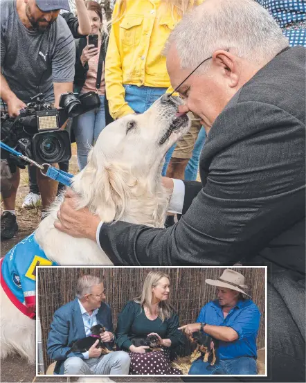  ?? ?? Scott Morrison visits Assistance Dogs Australia and Shannie in Lindsay; (inset) Anthony Albanese at the Sydney Royal Easter Show with partner Jodie Haydon and James Kemp. Picture: Monde Photograph­y, RAS of NSW. Main: Jason Edwards