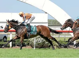  ?? TRISH DUNELL ?? Opie Bosson guides In A Twinkling to a comfortabl­e victory in the Gr.3 Ssangyong Counties Cup (2100m) on Saturday.