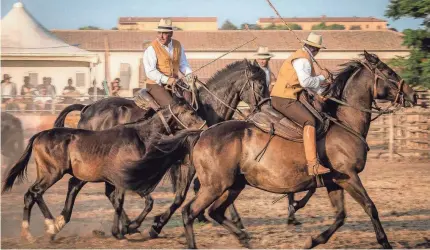  ?? ?? Gabrielle Saveri's photograph “Performanc­e at the 1st National Raduno (Butteri Rally)” is included in the exhibit “Italy's Legendary Cowboys of the Maremma,” on view through May 7, 2024, at the National Cowboy & Western Heritage Museum in Oklahoma City.