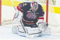  ?? BRANDON HARDER ?? Regina Pats goalie Max Paddock is expected to get the start in Sunday’s Prairie Classic against the Calgary Hitmen.