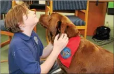  ?? MICHILEA PATTERSON — DIGITAL FIRST MEDIA ?? Coventry Christian Schools student Maggie Thompson, 12, gets her faced licked by Kahlua, a pet therapy dog. The dog visited the school last month as part of mental health awareness education activities.