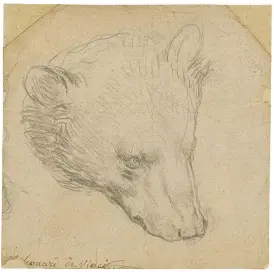  ??  ?? 2. Head of a Bear, c. 1480, Leonardo da Vinci (1452–1519), silverpoin­t on pale pink-beige paper, 10.3 × 13.4cm. Christie’s London (£8m–£12m)