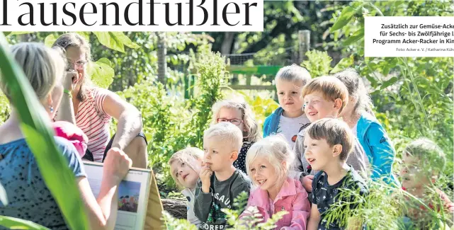  ?? Foto: Acker e. V. / Katharina Kühnel ?? Zusätzlich zur Gemüse-Ackerdemie für Sechs- bis Zwölfjähri­ge läuft das Programm Acker-Racker in Kindergärt­en.