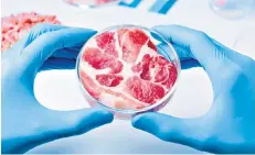  ??  ?? Dish of the day: a sample of meat that has been grown in a laboratory