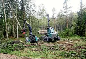  ??  ?? The Farm Forestry Associatio­n believes it is important the ETS encourages more trees to be planted, especially on farmland.