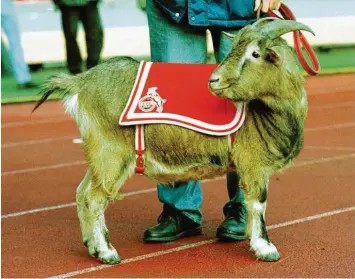  ?? Foto: Horstmülle­r ?? Das Wappentier des 1. FC Köln: Der Geißbock. Wenigstens er ist vor Ansteckung mit dem Corona-Virus sicher.