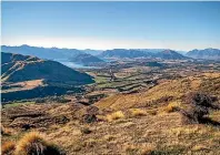  ??  ?? The Larches is a 976-ha farm on the outskirts of Wanaka at 446 Cardrona Valley Road which features spectacula­r views to Lake Wanaka and Lake Hawea.