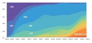  ??  ?? Frequencie­s of viral clades of SARS-CoV-2, January 2020 to February 2021 Source: NextStrain; Difference­Group