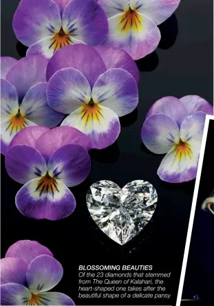  ??  ?? BLOSSOMING BEAUTIES Of the 23 diamonds that stemmed from The Queen of Kalahari, the heart-shaped one takes after the beautiful shape of a delicate pansy