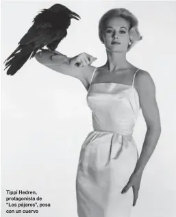  ?? ?? Tippi Hedren, protagonis­ta de “Los pájaros”, posa con un cuervo