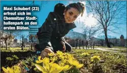  ??  ?? Maxi Schubert (23) erfreut sich im Chemnitzer Stadthalle­npark an den ersten Blüten.