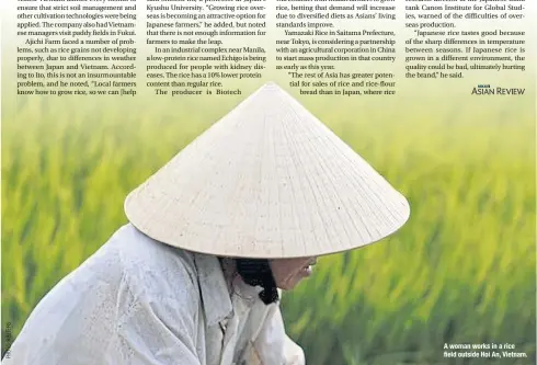  ??  ?? A woman works in a rice field outside Hoi An, Vietnam.