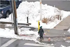  ?? AP PHOTO/ABBIE PARR ?? A pedestrian with a dog crosses a street near a large pile of snow Monday in Minneapoli­s.