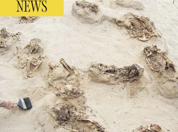  ?? GABRIEL PRIETO/NATIONAL GEOGRAPHIC VIA THE ASSOCIATED PRESS FILES ?? Skeletons discovered at the Huanchaqui­to-Las Llamas site near Trujillo, Peru belong to children who were victims of a mass sacrifice performed around 550 years ago, researcher­s say. The site contains the skeletons of 140 children and has small...