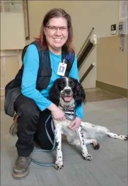  ?? ANDREA PEACOCK/The Daily Courier ?? Trainer Teresa Zurberg holds Angus, an English springer spaniel who is trained to detect the deadly bacterium Clostridiu­m difficile. On Monday, Angus was at Kelowna General Hospital, where he found two reservoirs of the superbug.