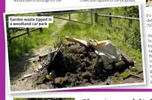  ??  ?? Garden waste tipped in a woodland car park