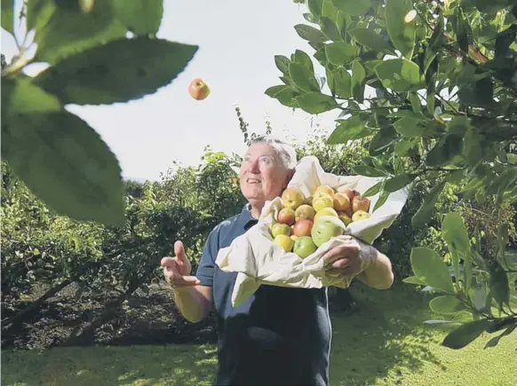  ?? ?? Know your apples by celebratin­g special day dedicated to the fruit, grown throughout the world in thousands of varieties