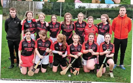  ??  ?? The Gaelcholái­ste na Mara team who lost out to Avondale CC in theJunior ‘B’ camogie semi-final.