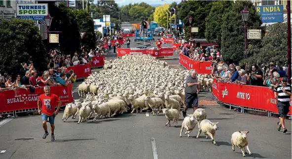  ?? DAVID UNWIN/STUFF ?? The New Zealand Rural Games, for the past two years, have opened in Feilding with the Running of the Wools event.