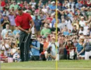  ?? MIKE CARLSON — THE ASSOCIATED PRESS FILE ?? Tiger Woods chips on the 15th hole in front of the gallery during the final round of the Valspar Championsh­ip golf tournament last March in Palm Harbor, Fla. The Valspar Championsh­ip was just another example of how much support Woods has drawn this year while he makes his return to the conversati­on in golf.