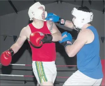  ??  ?? Neilie ‘The Prawn Cracker’ Keane-Stack boxing Iron Mike Lynch at the Crotta-St Senan’s ‘Brawl in the Hall’ at St Senan’s GAA Club.