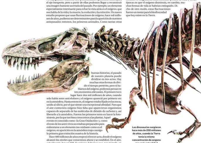  ?? ?? Los dinosaurio­s surgieron hace más de 200 millones de años, cuando la Tierra tenía la misma concentrac­ión de oxígeno que en la actualidad