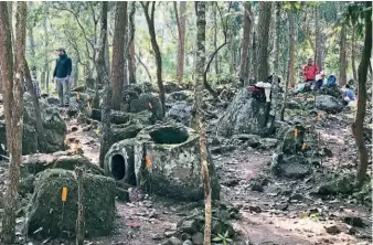  ??  ?? Members of the research team at Site 52 – reached by a steep dirt track winding up into the mountains – have marked jars with orange tags for the project’s inventory