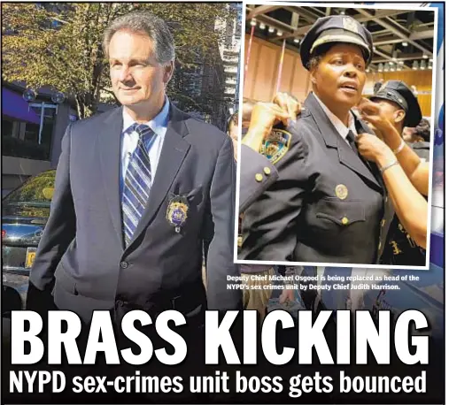  ??  ?? Deputy Chief Michael Osgood is being replaced as head of the NYPD’s sex crimes unit by Deputy Chief Judith Harrison.