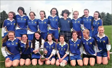  ??  ?? The Coláiste Bhride Carnew team who defeated St Kevin’s CC in the Junior ‘A’ final last week.