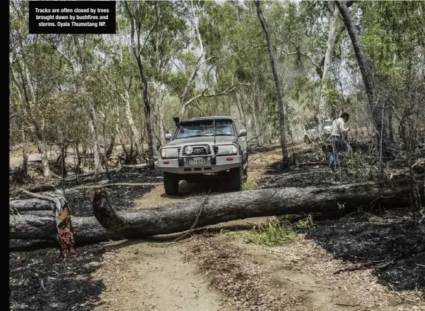  ??  ?? Tracks are often closed by trees brought down by bushfires and storms. Oyala Thumotang NP.