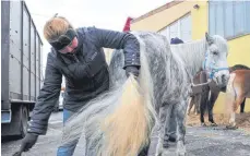  ?? FOTO: GEORG KLIEBHAN/ARCHIV ?? Der Pferdemark­t in Bad Schussenri­ed hat eine lange Tradition. Ausgefalle­n ist er bisher fast noch nie.