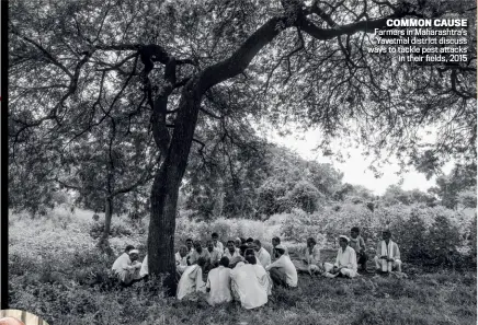  ?? SUDHARAK OLWE ?? COMMON CAUSE Farmers in Maharashtr­a’s Yavatmal district discuss ways to tackle pest attacks in their fields, 2015